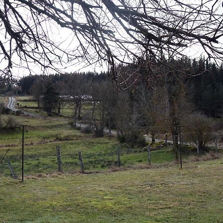 La Crova Villa Felines Bagian luar foto