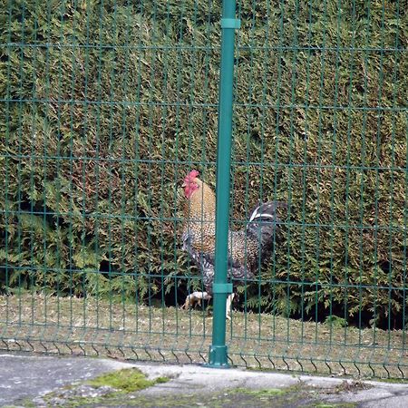 La Crova Villa Felines Bagian luar foto