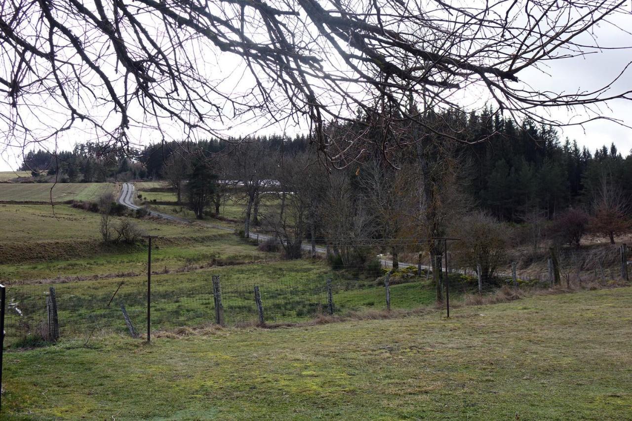 La Crova Villa Felines Bagian luar foto