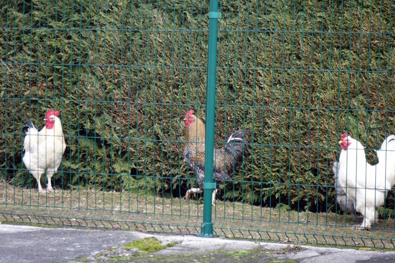 La Crova Villa Felines Bagian luar foto